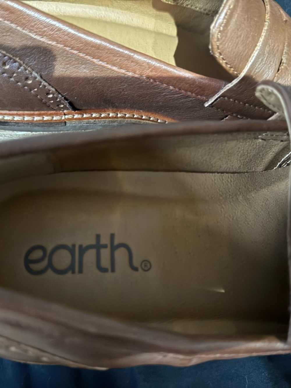 Earth Tan Brown Leather Slip-On Loafers